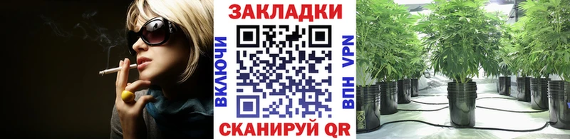 Магазины продажи наркотиков Звенигово ГАШИШ  Cocaine  Меф 