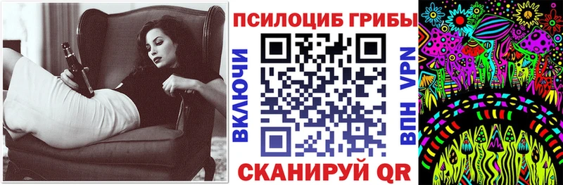 Псилоцибиновые грибы GOLDEN TEACHER  как найти наркотики  Звенигово 